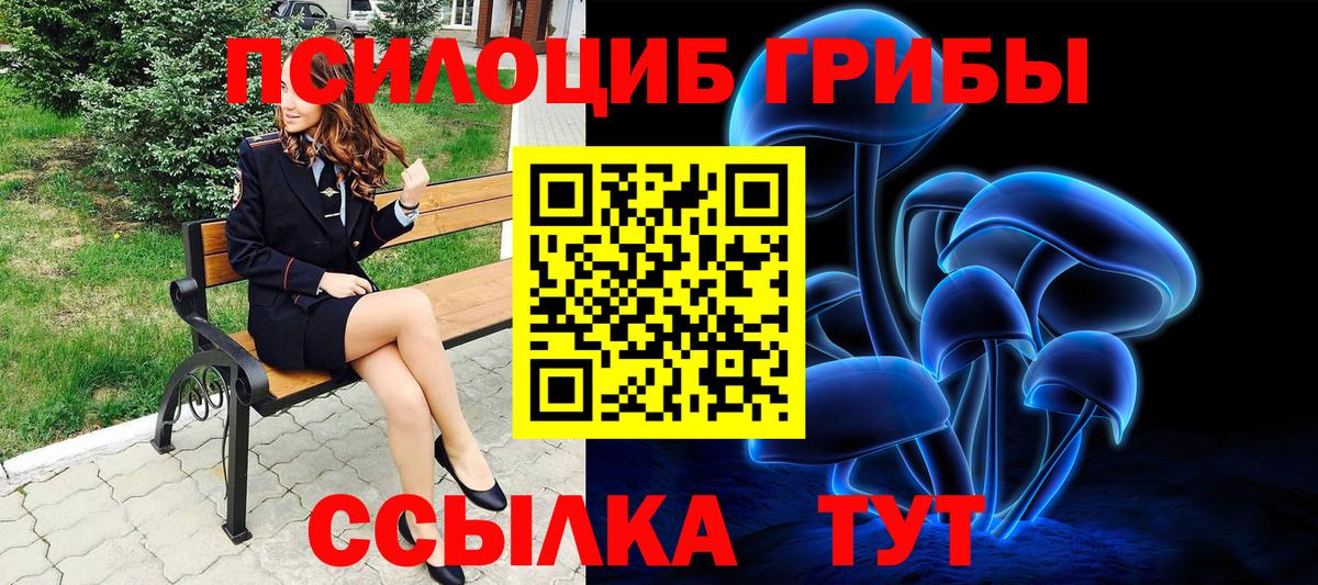 Тамбов  Галлюциногенные грибы ЛСД  купить   Вход с VPN  Галлюциногенные грибы мухоморы 